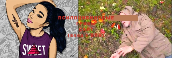 гашик Наволоки