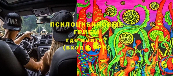 прущая мука Новодвинск