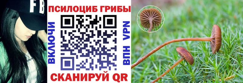 Псилоцибиновые грибы Psilocybe  мега маркетплейс  Челябинск  как найти наркотики 